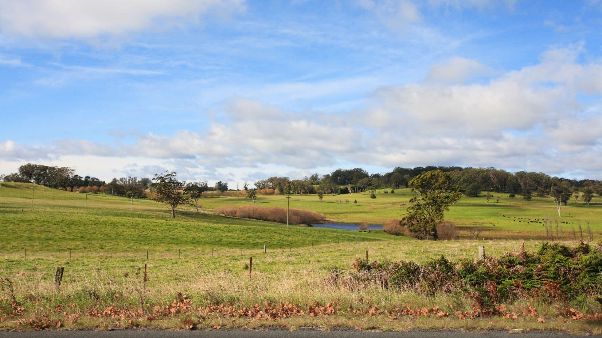 Farmland property in South Coast NSW.